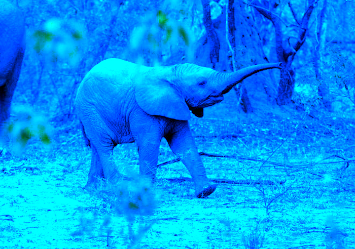 WE ZIJN KLEIN&nbsp;GEBLEVEN